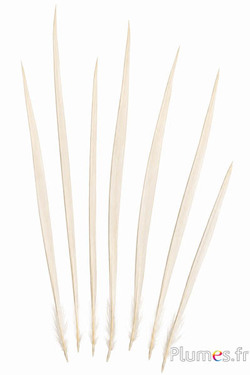 Airone - 12-15 cm - bianco-crema naturale